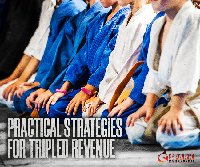 Practical Strategies for Tripled Revenue
